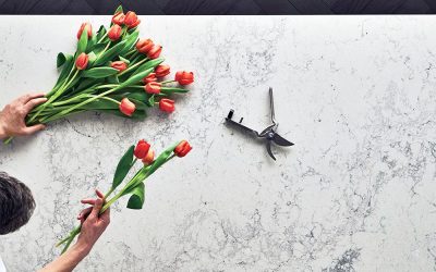 Compare Quartz Countertops Brands