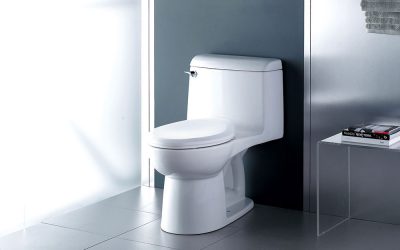 Eco-Friendly , Dual Flush Toilets Available at Polaris